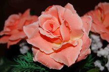 Flower / ***