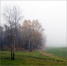 Herbst / ***