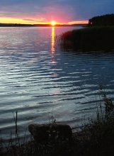 Color graphics on the water / ***