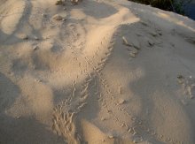 crossroads / ...