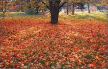 Autumn bedspread / ***