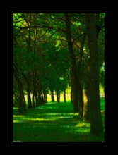 In the park / ***