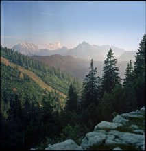  / Rolleiflex 2.8F