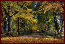 Autumn (repost) / ***