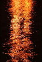Moon Path / ***