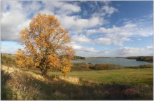 Autumn in Dubrovo / ***