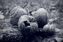 Apples / ***