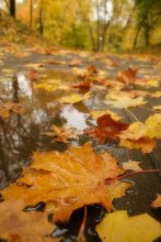 Wieder einmal über den Fall ... / *****