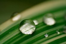 Teardrop / *****