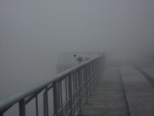 Nebel, Nebel ... / ...