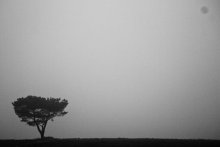 Foggy twice odinochesvo / ***