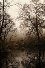 Tale ... / ***