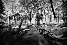 Untitled / ***