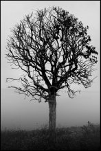 Herbststimmung / ***