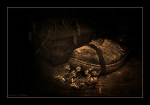 A little life .... / ***