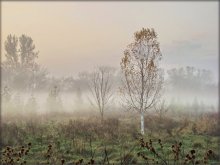 early dawn, late autumn / .....