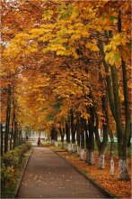 In the city of Fall and wipers / ***