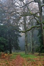 Visiting Fairy Tales / ***