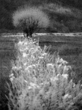 Herbst / ***