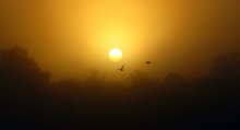 Es ... wo der Morgen beginnt ein neuer Tag! / ***