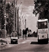 Quadruped odnohvosty pedestrians (repost) / ***