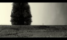 Untitled / ***
