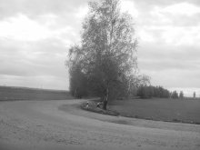 Homeward Bound / ***
