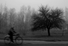 Autumn mood II / ***
