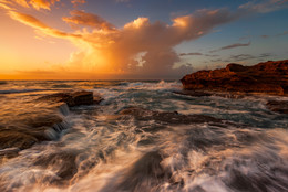 Mediterranean / ***