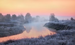 In anticipation of winter / ***