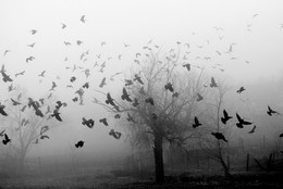 The smell of autumn / ***