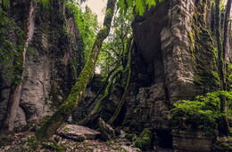 In the mountains / ***