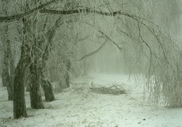 Winter came / ***