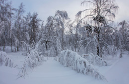 Winterschlaf / ***