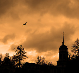 Evening / ***