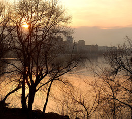 at sunset / ***