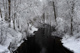 The Winter's Tale / ***