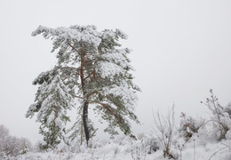 First snow / ***
