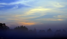 Blauen Dunst / ***