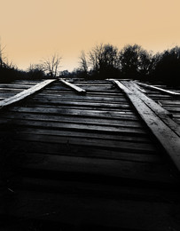 Bridge / ***
