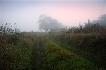 Straße im Nebel / ***