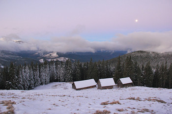 Dawn / ***