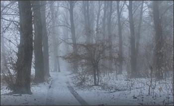 Tauwetter / ***