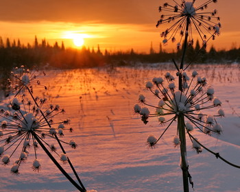 In the sunset. / ***