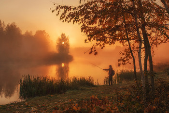 Together with nature / ***
