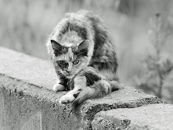 Obdachlos / ***
