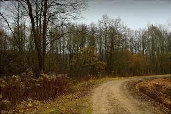 Autumn Twist / ***