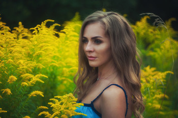 Veta / ***