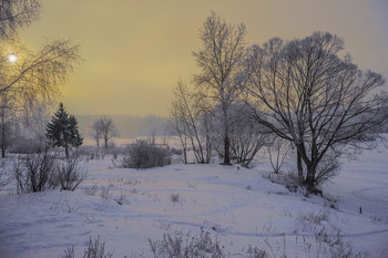 Frost was intense ... / ***