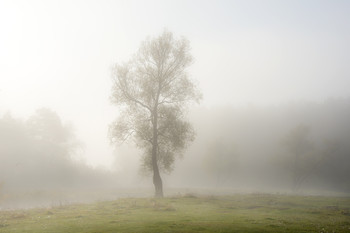 Two loneliness / ***